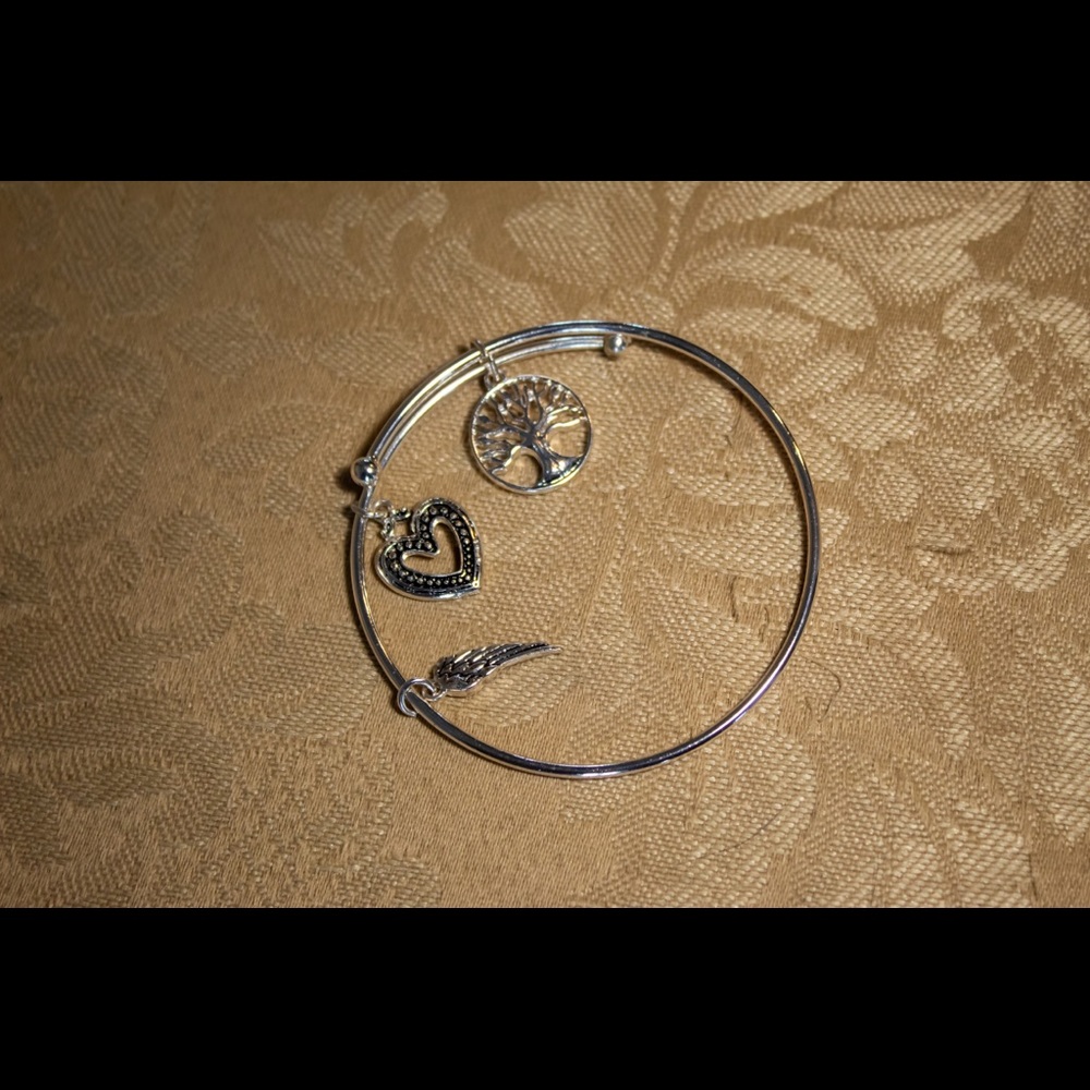 Alex and Ani Bracelet with charms